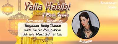 Yalla Habibi Belly Dance